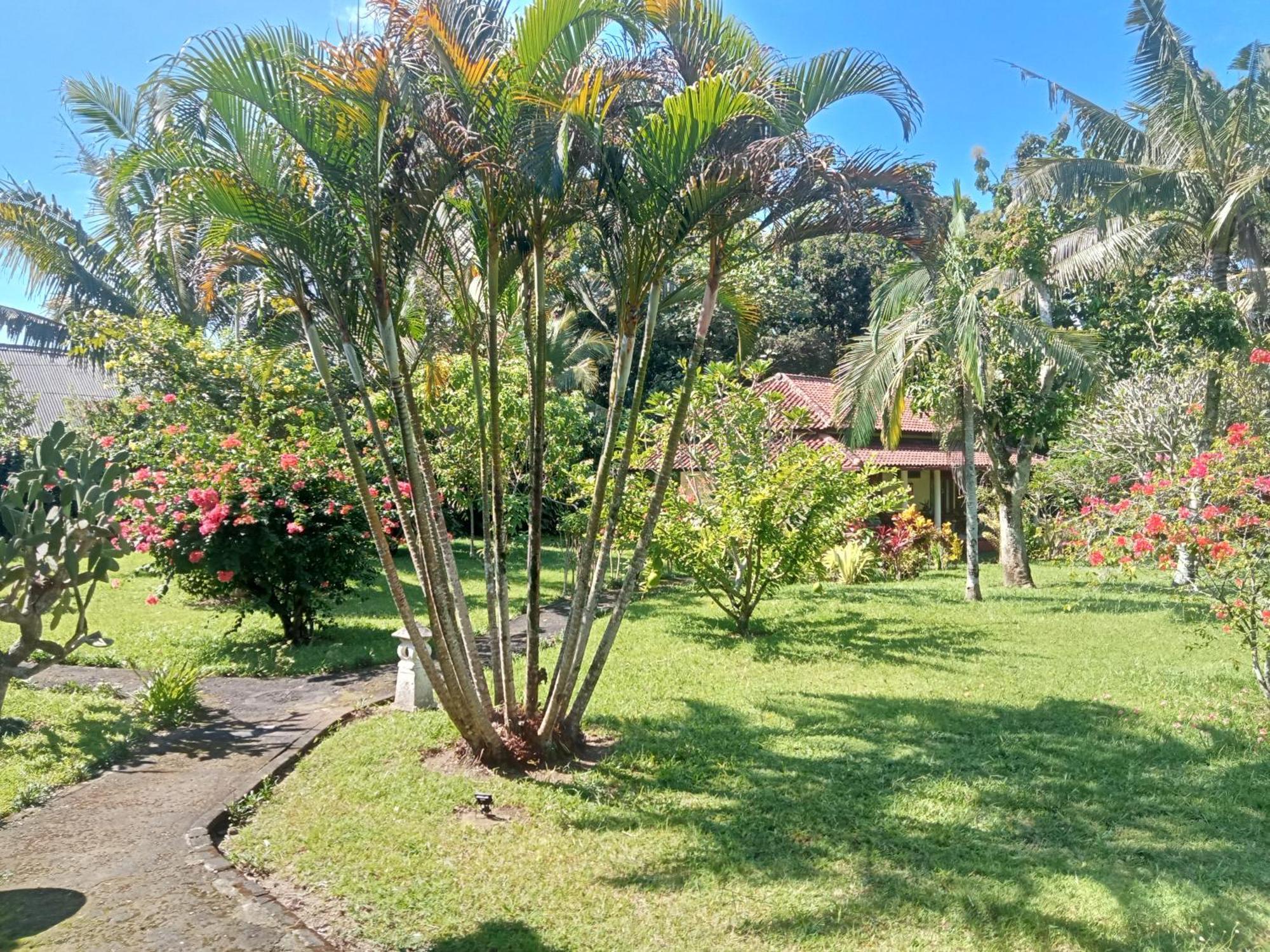 Guesthouse Rumah Senang Kalibaru Εξωτερικό φωτογραφία