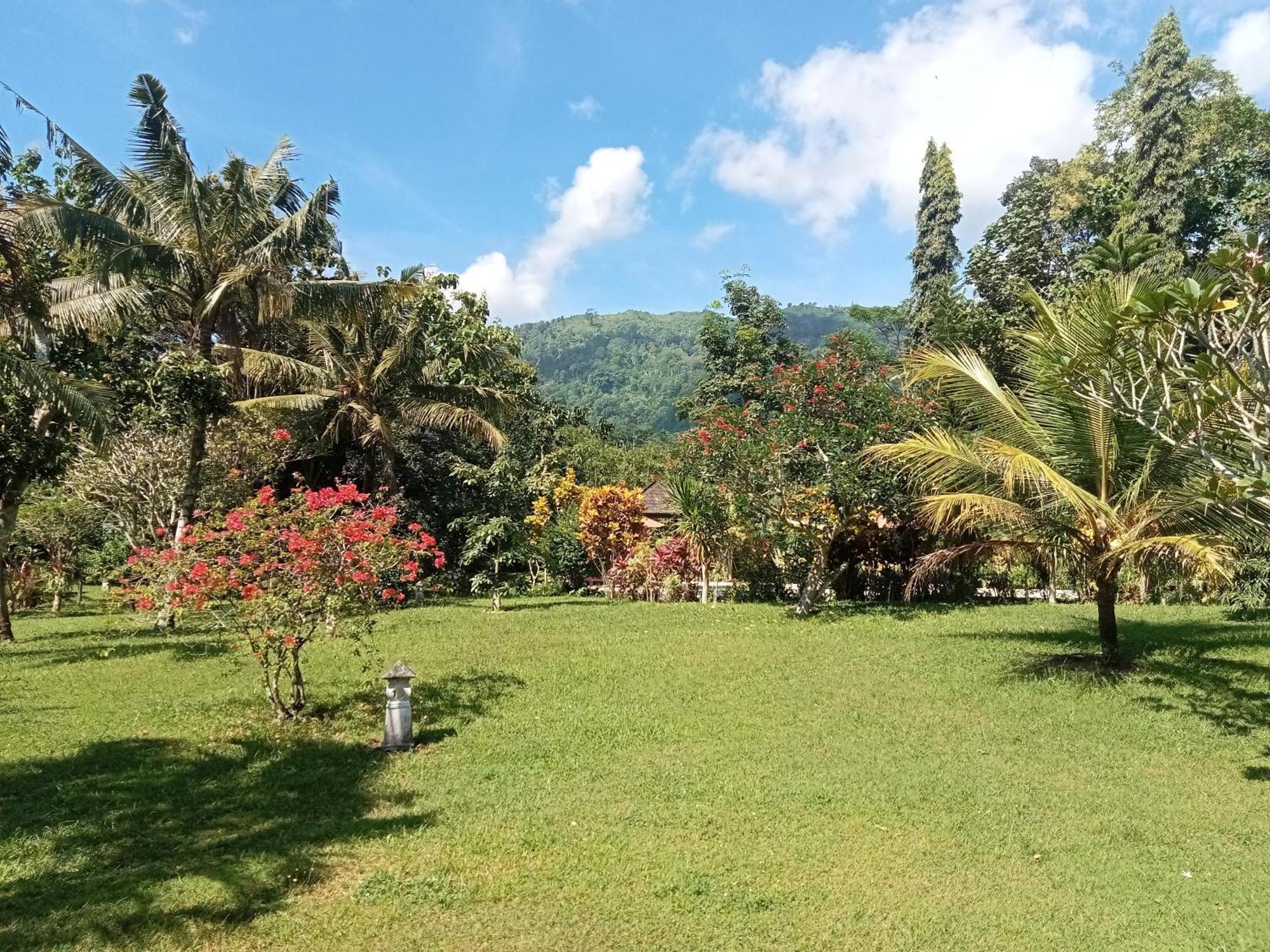 Guesthouse Rumah Senang Kalibaru Εξωτερικό φωτογραφία
