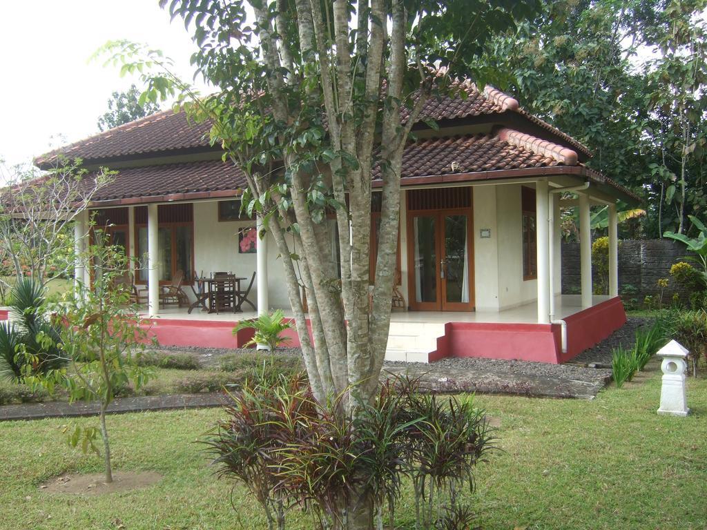 Guesthouse Rumah Senang Kalibaru Εξωτερικό φωτογραφία