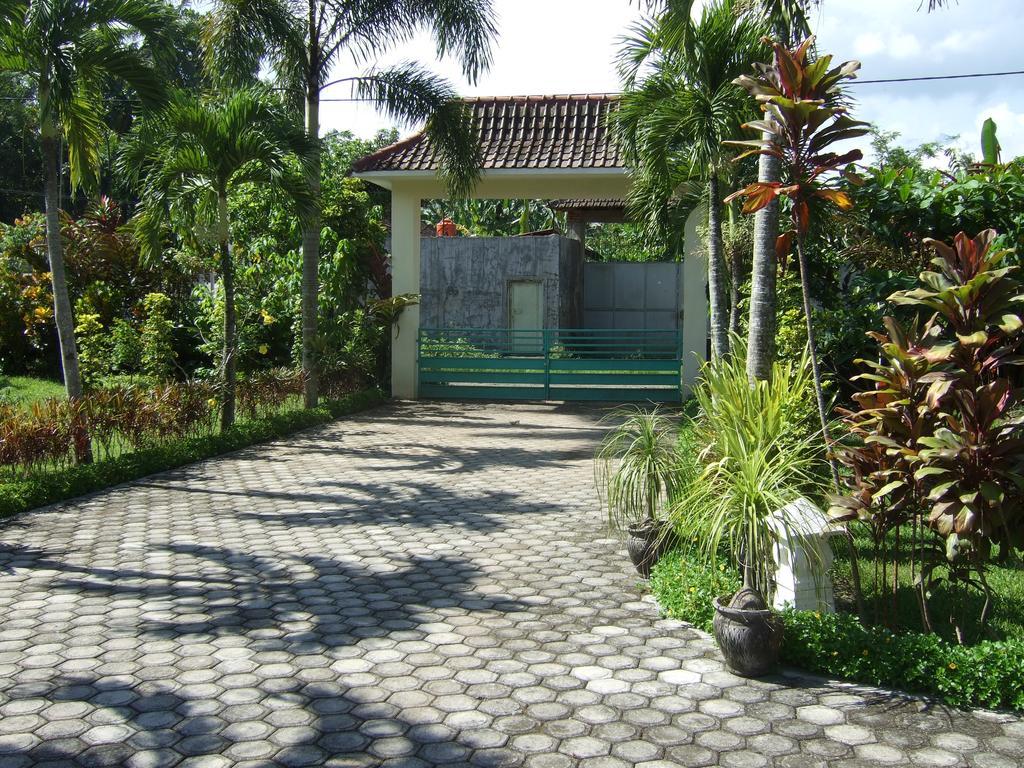 Guesthouse Rumah Senang Kalibaru Εξωτερικό φωτογραφία