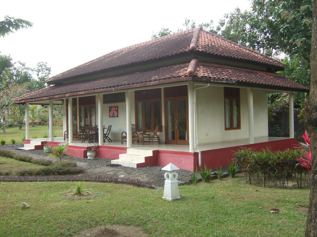 Guesthouse Rumah Senang Kalibaru Εξωτερικό φωτογραφία